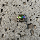 小乌龟三色斑彩