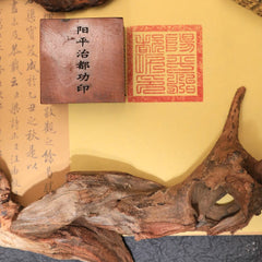 茅山上清陽平治都功印