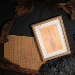 茅山上清送子符畫框符（拍攝圖拍反了）